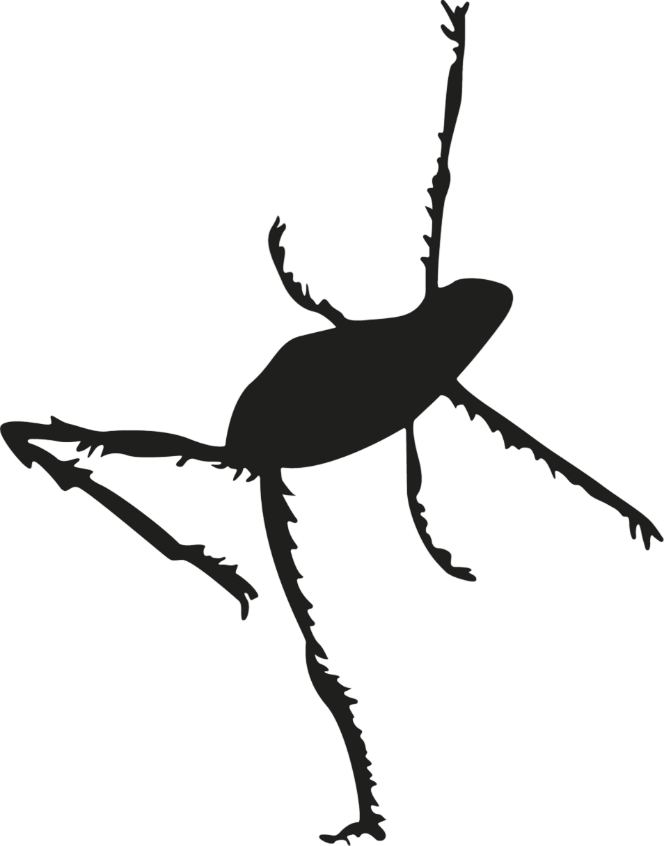 Pulgita